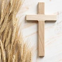 amem_wheat-cross