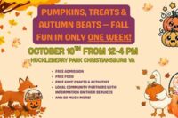 fall-festival-huckleberry2