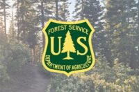 usda-forest