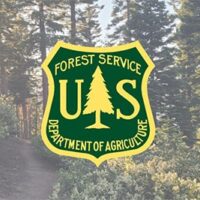 usda-forest